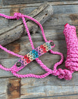 Pink Mule Tape Halter - Multi Floral and Pink 