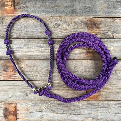 Lariat Noseband and Lead - Assorted Colors
