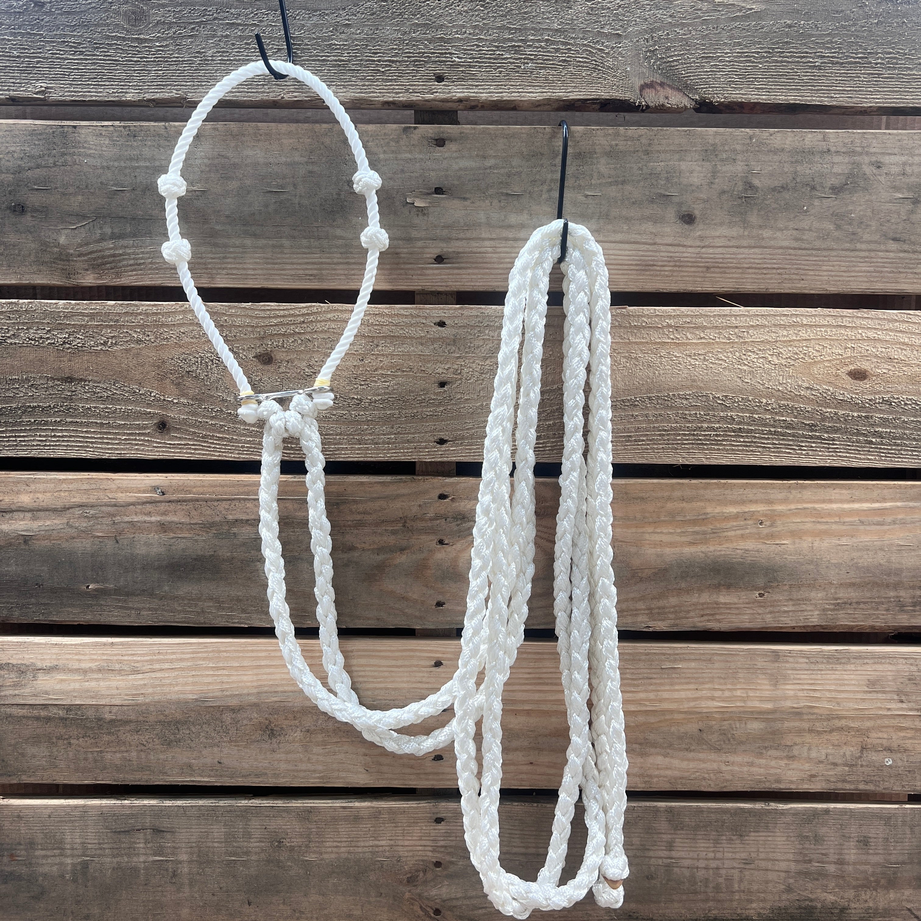 Lariat Hackamore and Double Reins - Assorted Colors