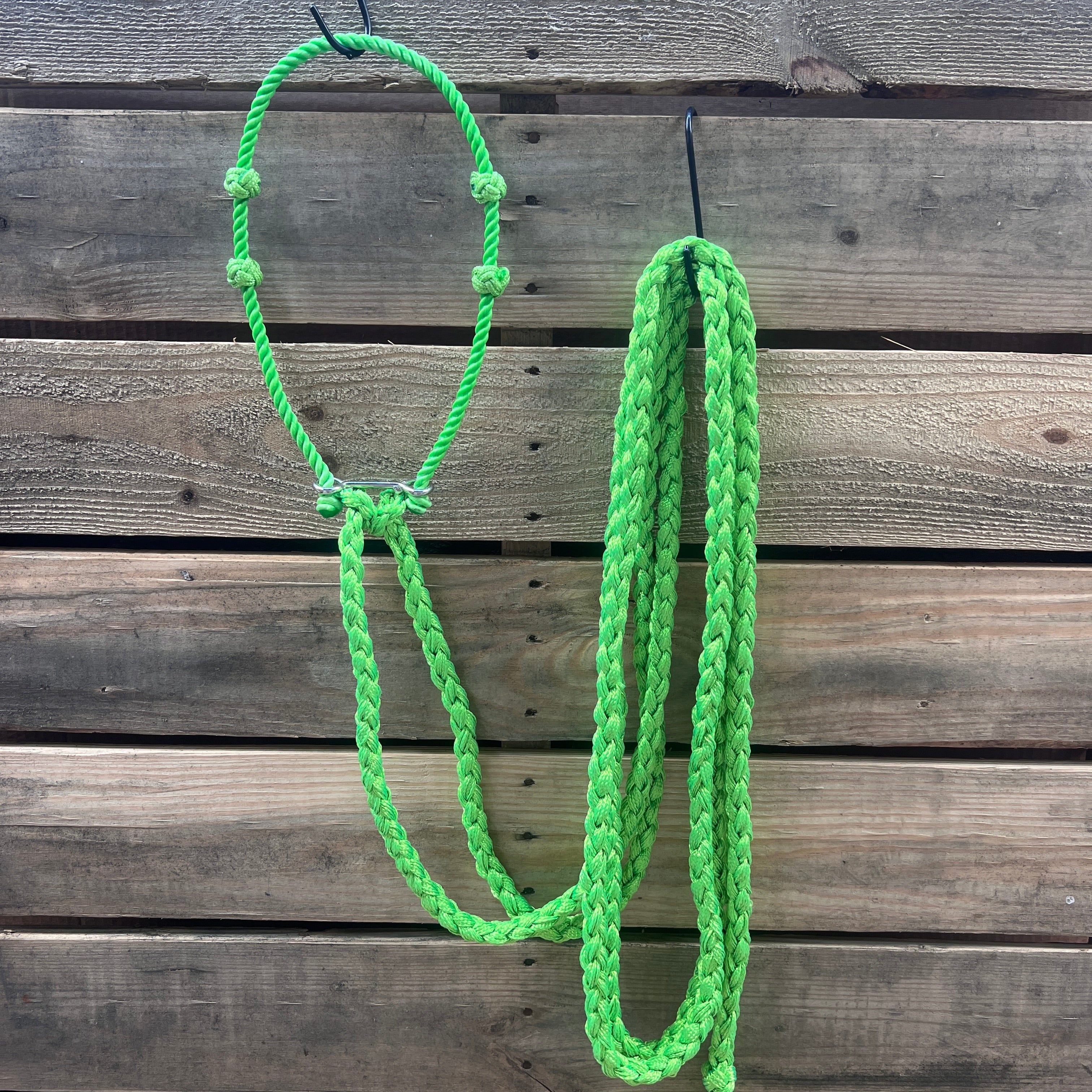Lariat Hackamore and Double Reins - Assorted Colors