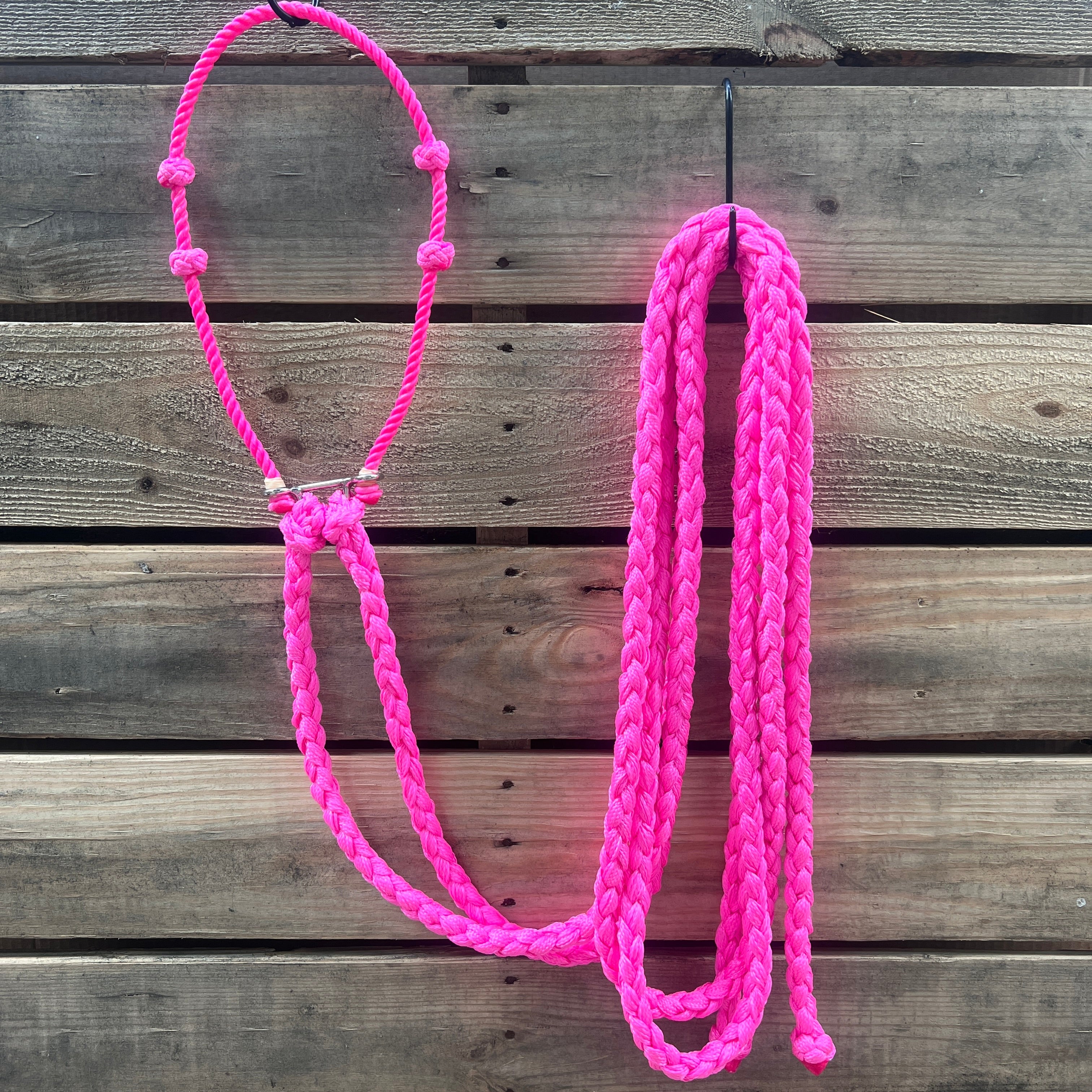 Lariat Hackamore and Double Reins - Assorted Colors