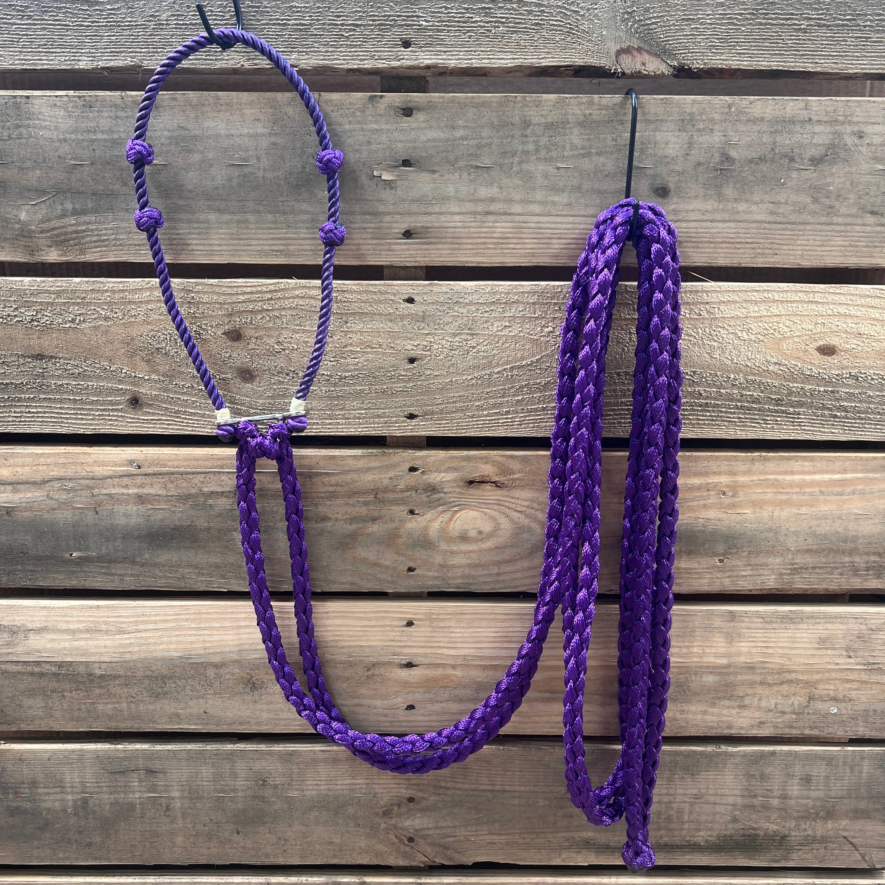 Lariat Hackamore and Double Reins - Assorted Colors