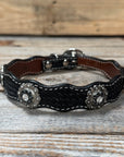 Leather Dog Collar With Antique Silver Jet and Clear Conchos 10" to 22" -DC75