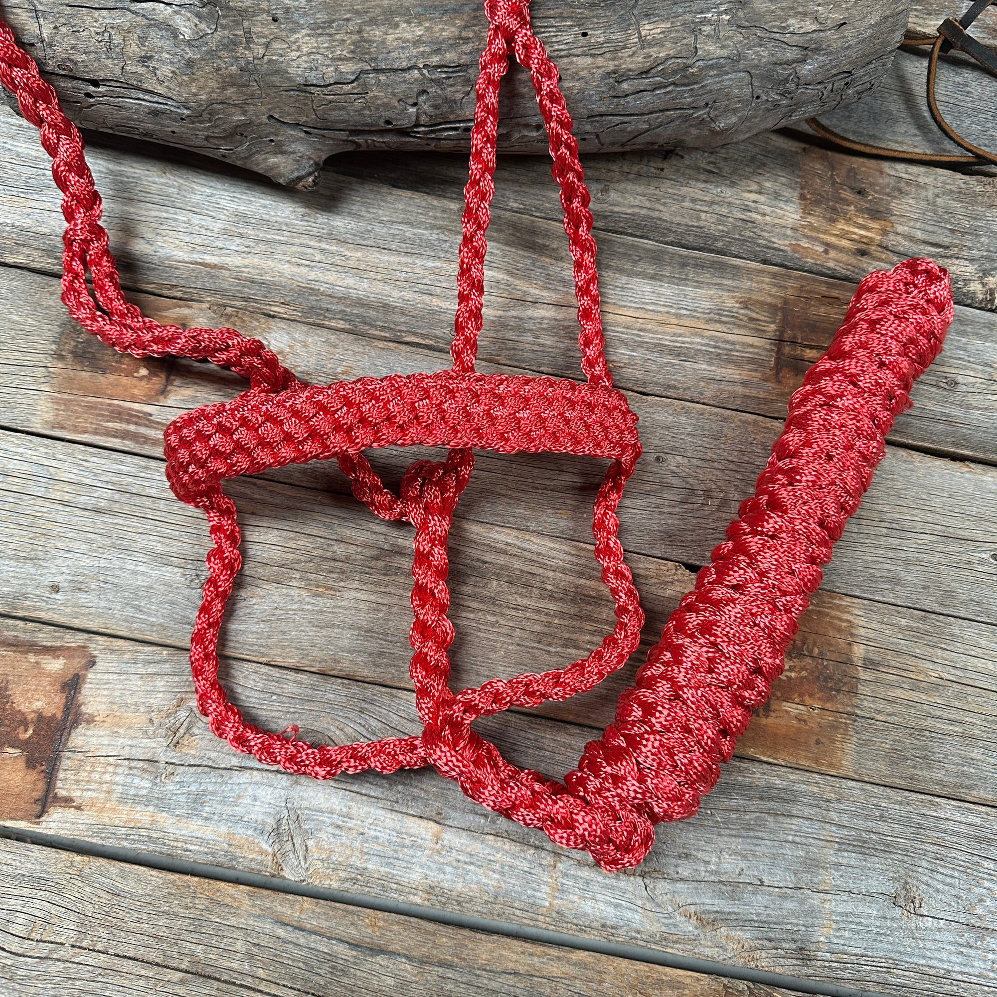 Mule Tape Halters - Assorted Colors-