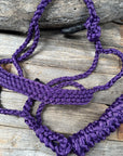Purple Mule Tape Halter