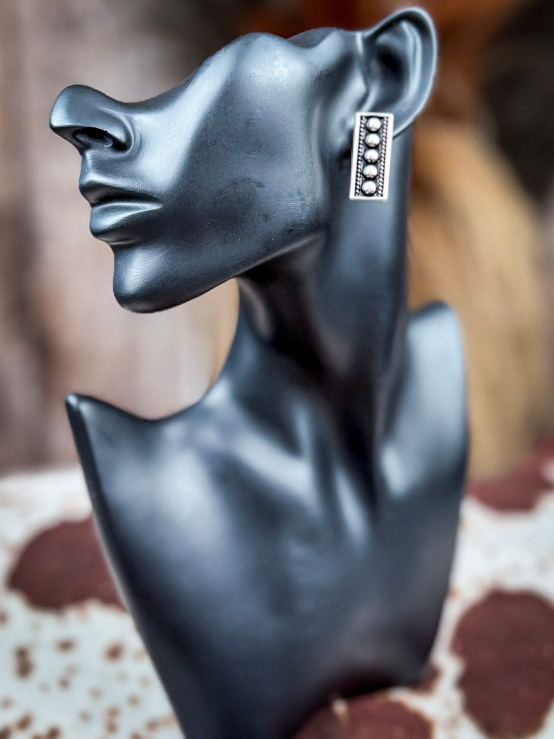Sagebrush Silver 6-Pack Fashion Earring Set
