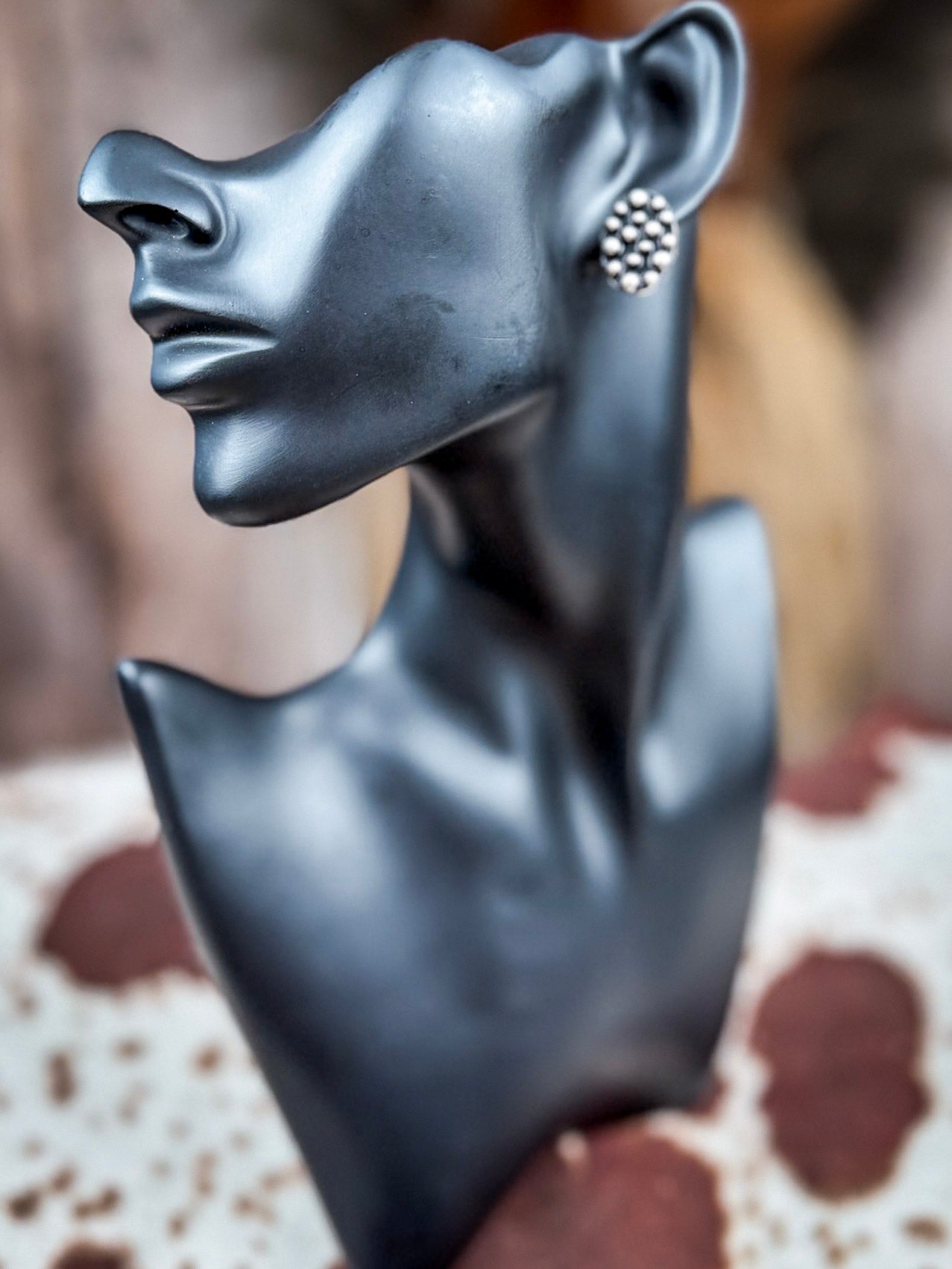 Sagebrush Silver 6-Pack Fashion Earring Set