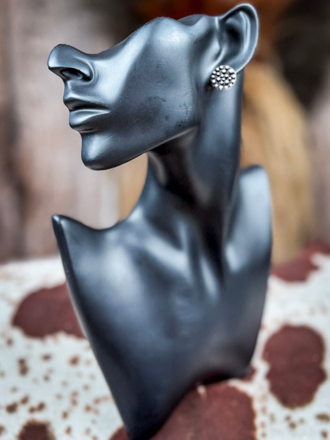 Sagebrush Silver 6-Pack Fashion Earring Set