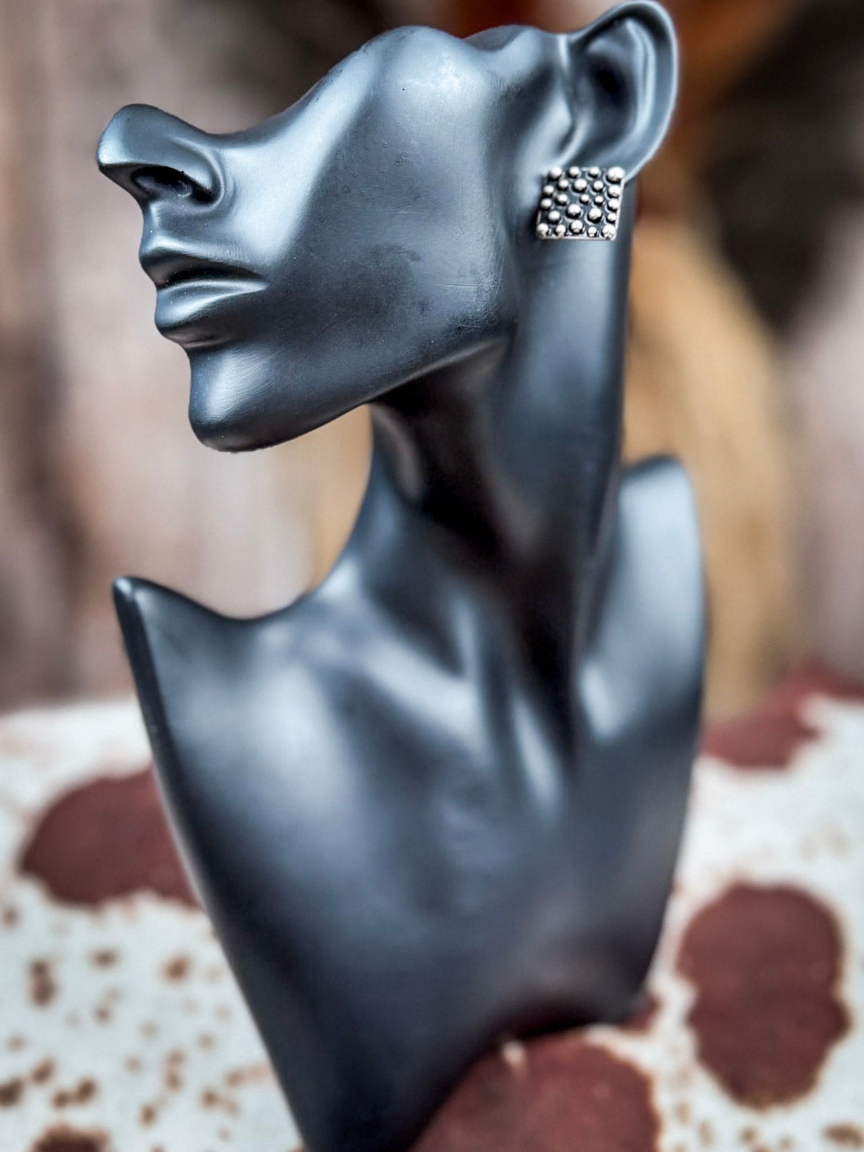 Sagebrush Silver 6-Pack Fashion Earring Set