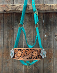 Teal Nylon Horse Halter – Bronc Noseband with Crystal Conchos NH106