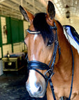 Halter Ego® Crystal Patent Browband - Dusk To Dawn