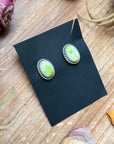 Sterling Silver Palomino Variscite Stud Earrings, Artist Jason Ogg