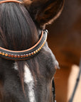 The Tuscany Black Leather Rolled Leather Snaffle Bridle with Removable Flash