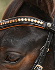 The Tuscany Black Leather Rolled Leather Snaffle Bridle with Removable Flash
