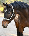 Venetian Leather Halter