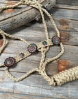 Tan and Turquoise Mule Tape Halter -  