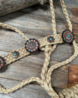 Tan and Turquoise Mule Tape Halter -  