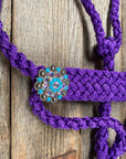 Purple Mule Tape Halter - Turquoise 