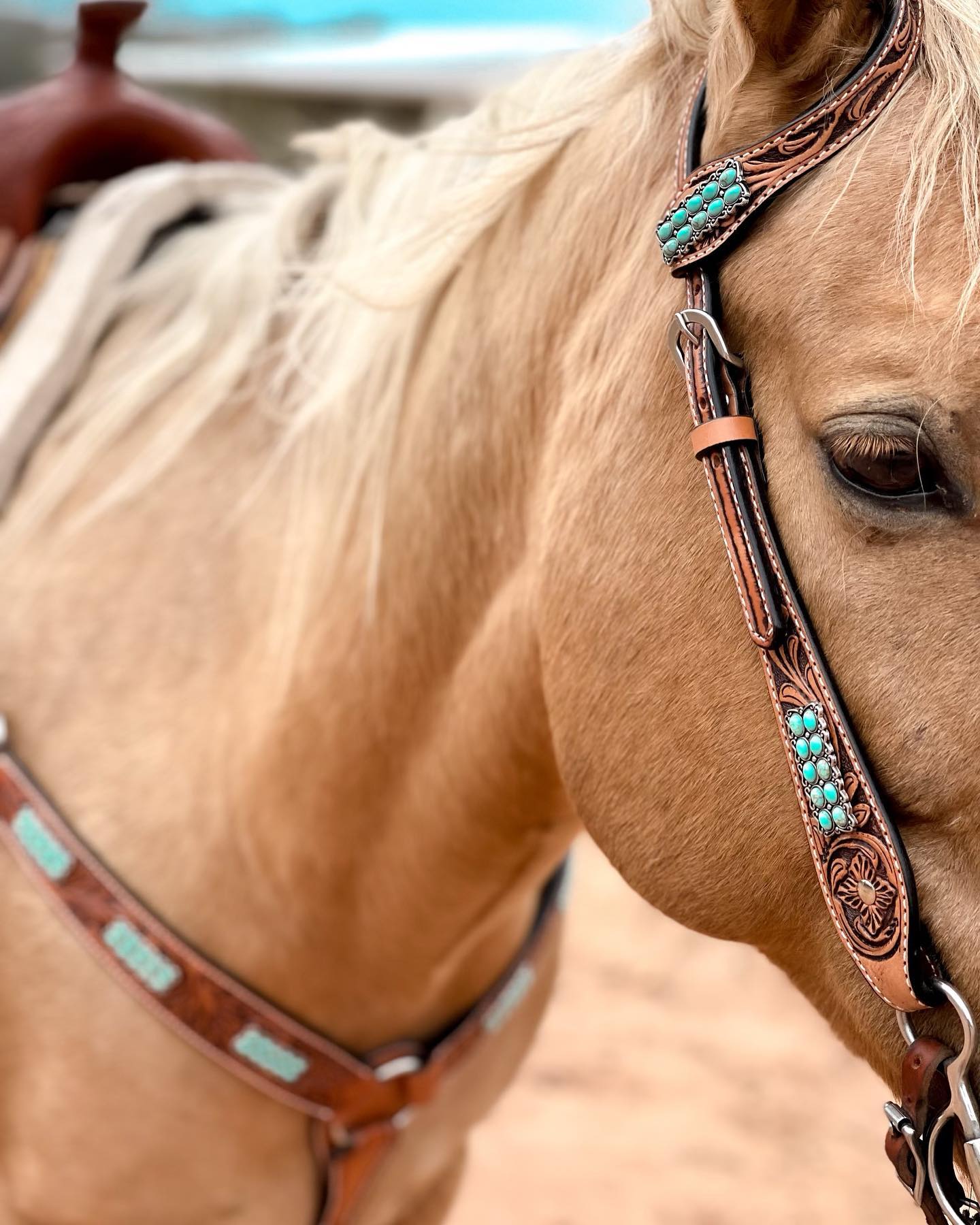 Light Oil Buckaroo Roper Turquoise One Ear &amp; Breastcollar Tack Set 