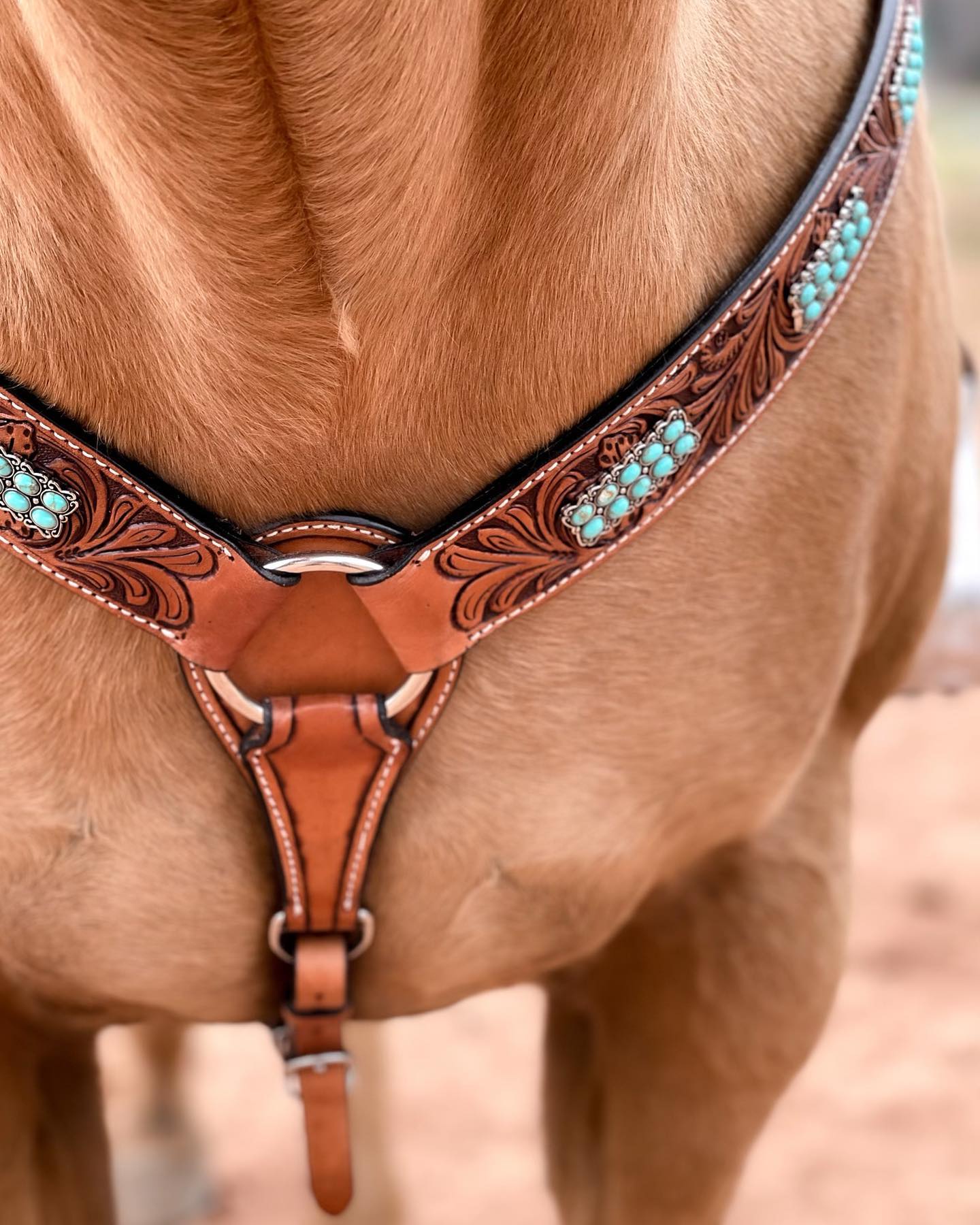 Light Oil Buckaroo Roper Turquoise One Ear &amp; Breastcollar Tack Set 