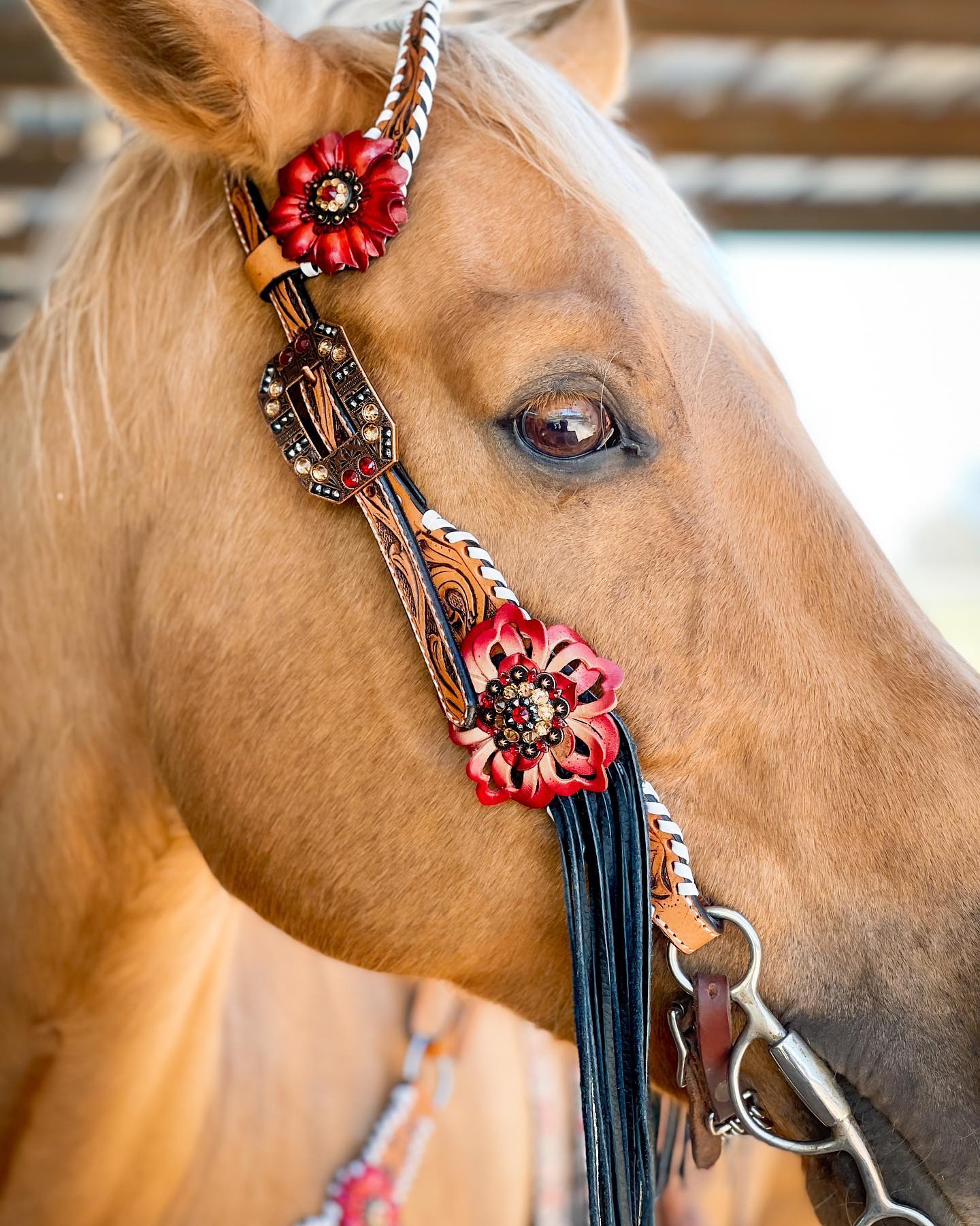 Light Oil Whipstitch Black and Red One Ear &amp; Breastcollar Tack Set 