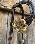 Dark Oil Gold One Ear & Breastcollar 