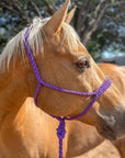 Purple Mule Tape Halter