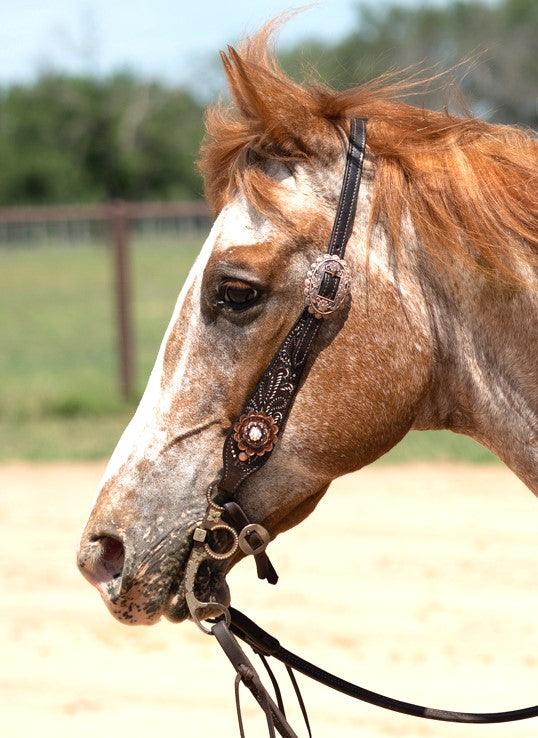 Hand Painted Paisley - Copper AB Rosette One Ear/ Breastcollar Tack Set 