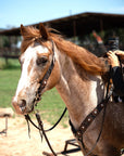 Hand Painted Paisley - Copper AB Rosette One Ear/ Breastcollar Tack Set 