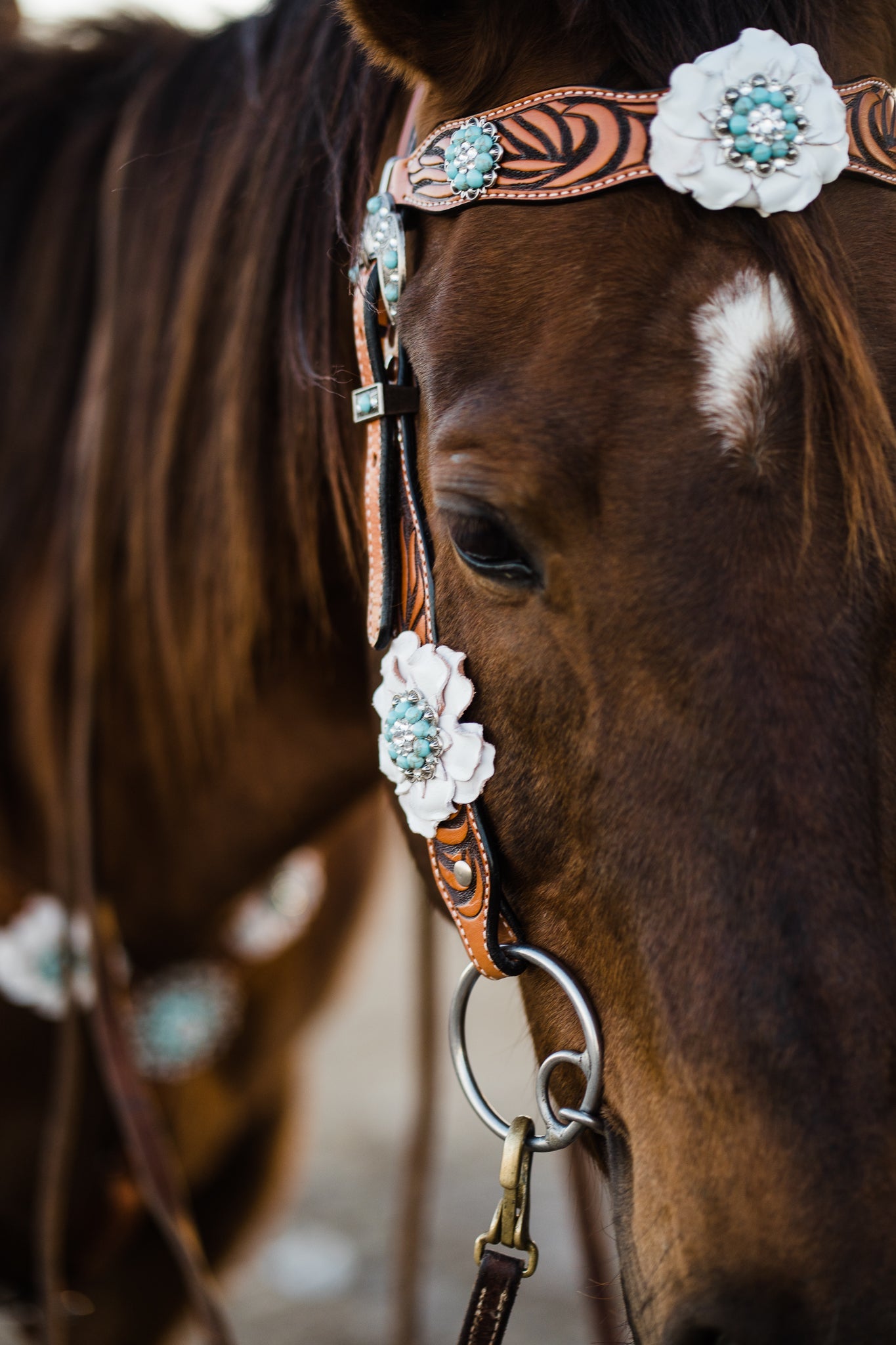Zebra Turquoise and White Browband / Breastcollar Tack Set 