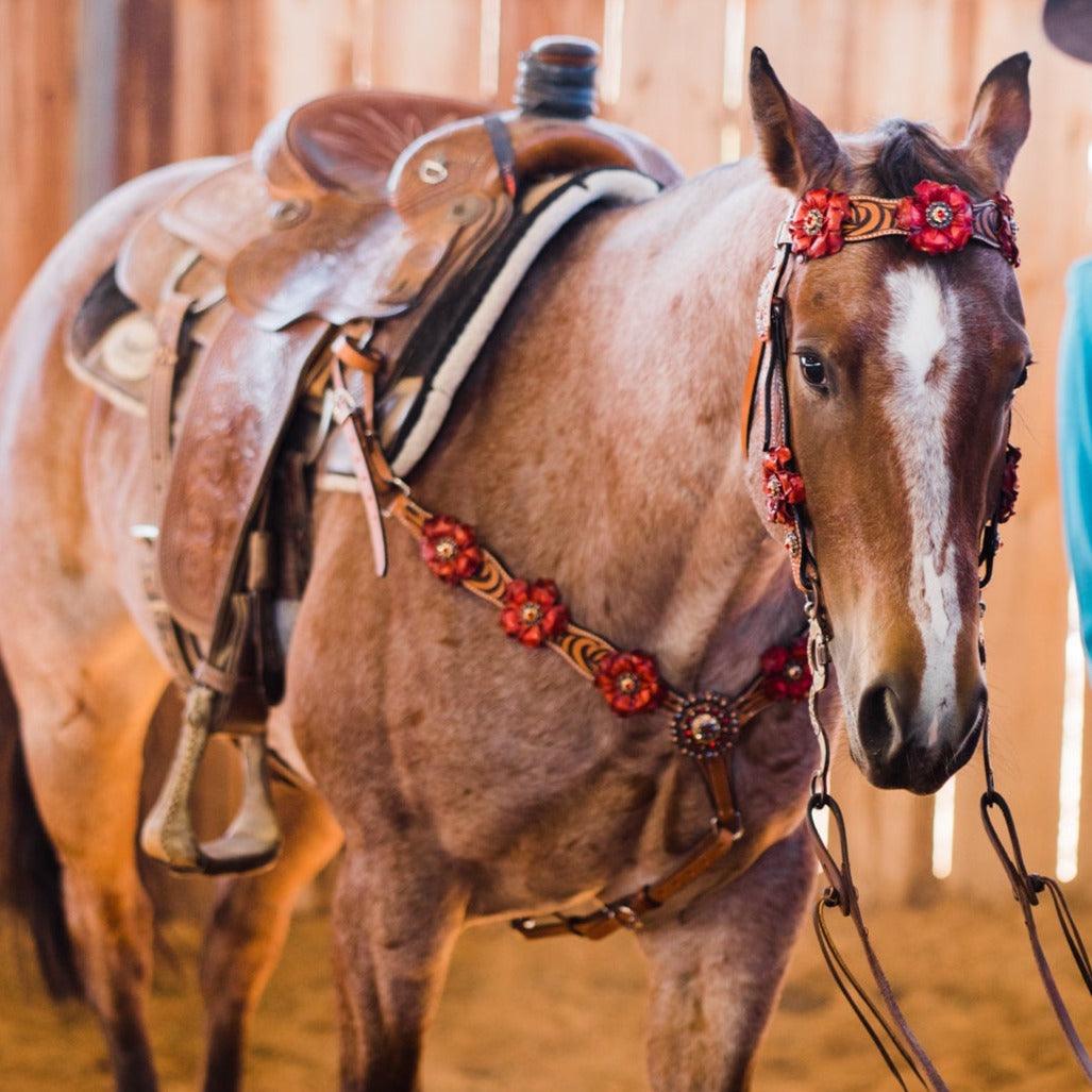 Zebra Ruby Browband / Breastcollar Tack Set 