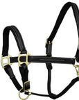 ExionPro Fancy Stitched Leather Halter - Brass Hardware
