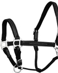 ExionPro Fancy Stitched Leather Halter - Brass Nickel Hardware
