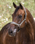 Venetian Leather Halter