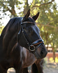 The Tuscany Black Leather Rolled Leather Snaffle Bridle with Removable Flash