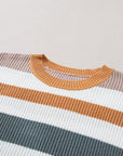 Colorblock Stripe Ribbed Round Neck Sweater