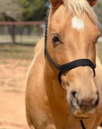 Black Mule Tape Halter