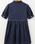 Melina Zipped up Denim Dress