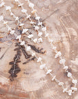 Chip Off The Old Block White Shell Necklace