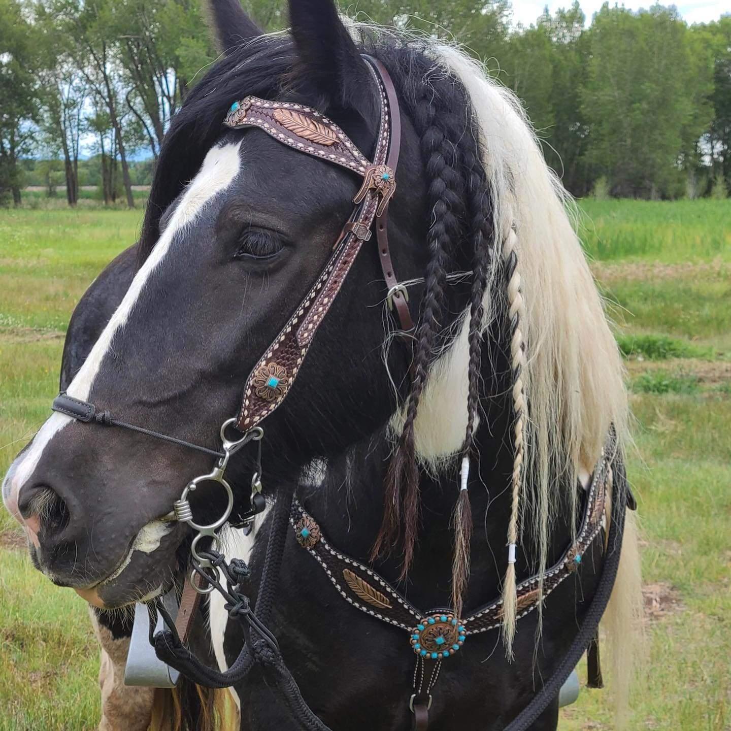 Dark Oil Buckstitch Copper and Turquoise Browband / One Ear / Breastcollar Buckstitch Tack Set 