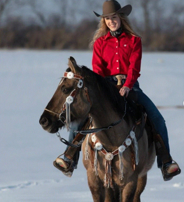 Whipstitch Headstall -Golden &amp; Daisy 