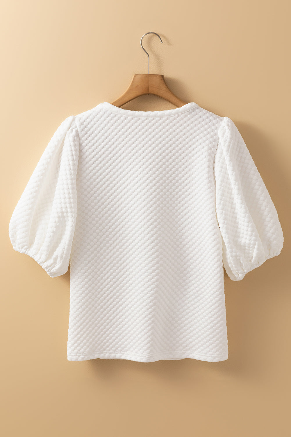 Solid Textured Round Neck Puff Sleeve Blouse