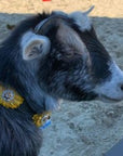 DC19 -Black Oil Leather Sunflower Dog Collar 18" to 28"
