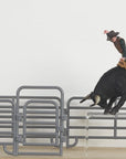 Bigtime Rodeo® Bull Rider Set