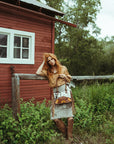 The Avery Concealed Carry a Haute Southern Hyde by Beth Marie Exclusive