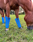 Fly Boots