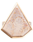 Lafayette Fossilized Coral Ring