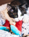 Meowdy Partner - Boot Cat Toy with Catnip