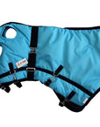 AJ Tack 1200D Waterproof Turnout Horse Blanket with Hood - Turquoise
