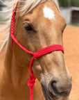 Red Mule Tape Halter